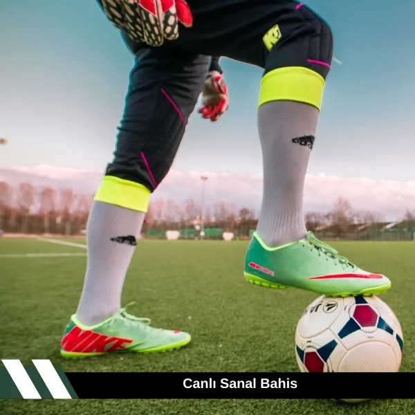  Canlı Sanal Bahis